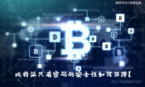 比特派只有密码的安全性如何保障？