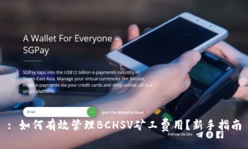 : 如何有效管理BCHSV矿工费用？新手指南